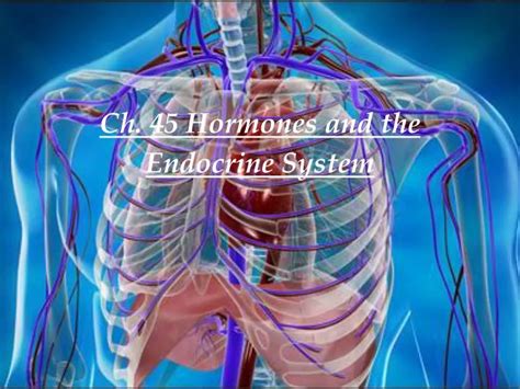 Ppt Ch Hormones And The Endocrine System Powerpoint Presentation