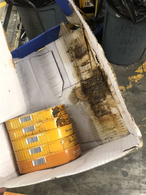 Found this nasty surprise while boxing : r/Aldi_employees