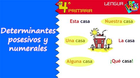 Lengua Castellana Primaria Tema Determinantes Posesivos Y