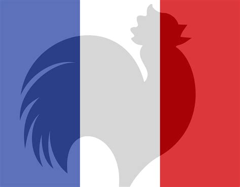 Pourquoi La France Est Elle Repr Sent E Par Un Coq