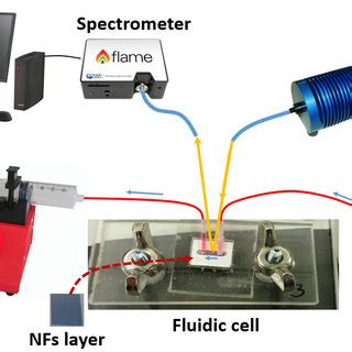 Scheme Of The Opto Fluidic Setup Used To Carry Out The Real Time And