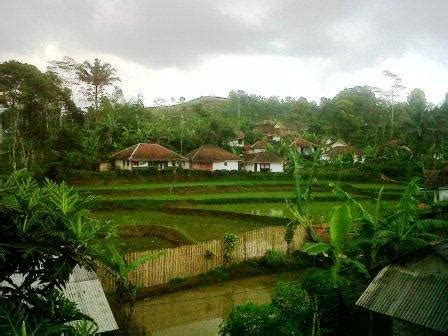 Taraju ku kampung halaman ku - sarmud [dot] com