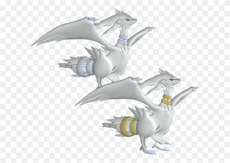 Reshiram 3d Model, Dragon, Bird, Animal HD PNG Download - FlyClipart