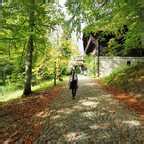 Onlyfans Leaks Raluca Hot Fan