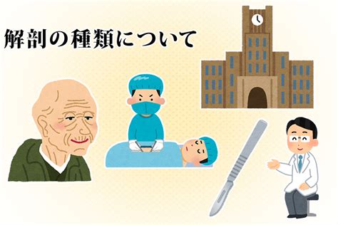 解剖の種類について。正常解剖・司法解剖・行政解剖・病理解剖その目的と特徴は？ はじめてのお葬式ガイド