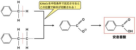 フェノキシドイオンの重要性を認識してフェノール・アニリン・安息香酸の反応を理解しよう！③ | 高校化学のものがたり