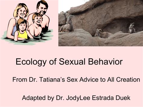 Notions Of Sexual Behavior