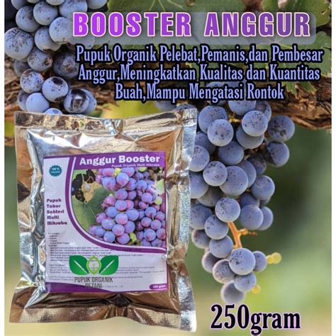 Jual Pupuk Anggur Pelebat Organik Booster Buah Agar Cepat Berbuah Lebat