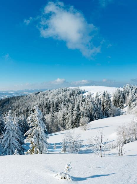 Premium Photo | Winter mountain snowy landscape