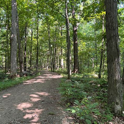 Cassell Reservation — Lorain County Metro Parks