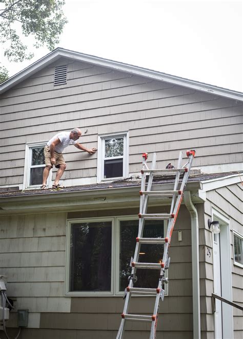 Invasive Infestations — The YellowJacket Expert LLC