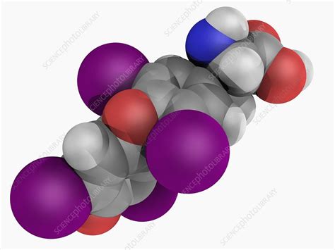 Levothyroxine Drug Molecule Stock Image F0047147 Science Photo