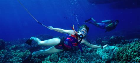 Snorkeling vs Scuba Diving: 9 Differences You Need to Know About - Dive ...