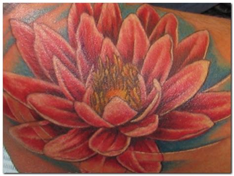 Japanese Lotus Flower Tattoo Designs