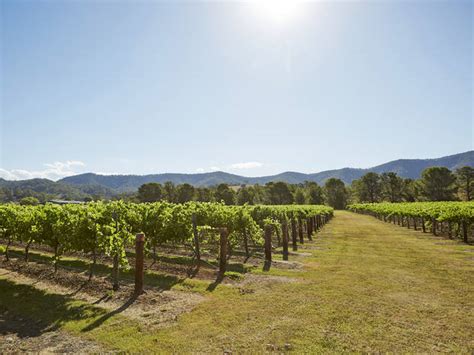 The best wineries in the Hunter Valley