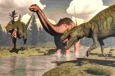 Allosaurus And Long Neck Dinosaurs Coexistence Revealed