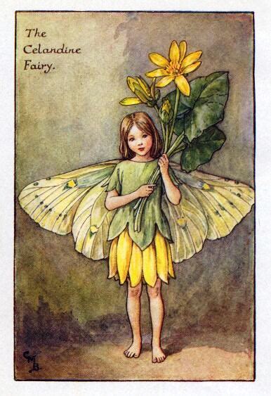 Celandine Flower Fairy Vintage Print Cicely Mary Barker The Flower