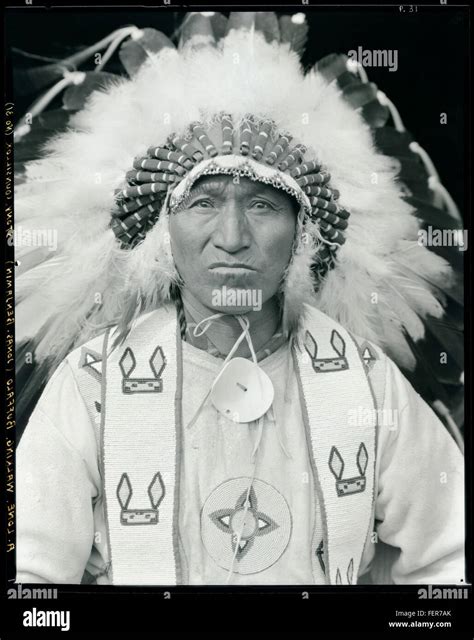 Lone Walking Buffalo Nakoda Nation Stock Photo Alamy