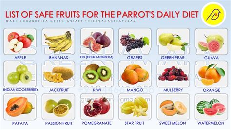 List Of Safe Fruits For The Parrot S Daily Diet Fruit Daily Diet Fruit List