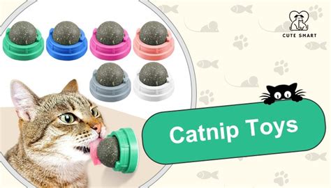 Catnip Toys: Fun Or Potential Peril? A Safety Guide For Cats