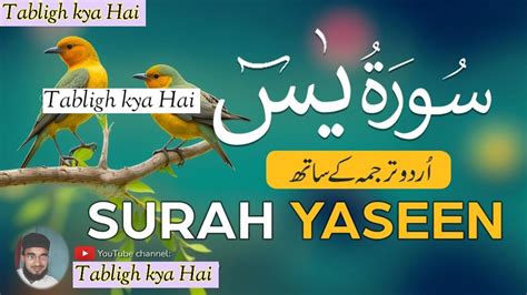 Surah Yasinyaseen Full With Arabic Text Hd Beautiful Recitationیس