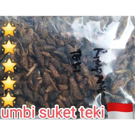 Jual Umbi Rumput Teki Kering 1 Kg Shopee Indonesia