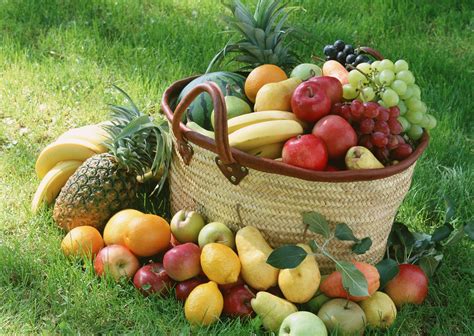 Fruit Garden Wallpapers Top Free Fruit Garden Backgrounds