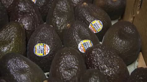 Fda Thoroughly Wash Avocados Before Eating To Avoid Listeria 6abc