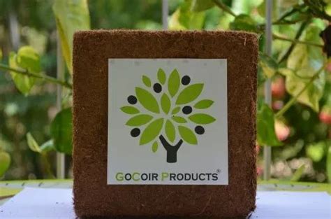 Rectangular Organic Cocopeat Blocks Packaging Type Pallets Packaging