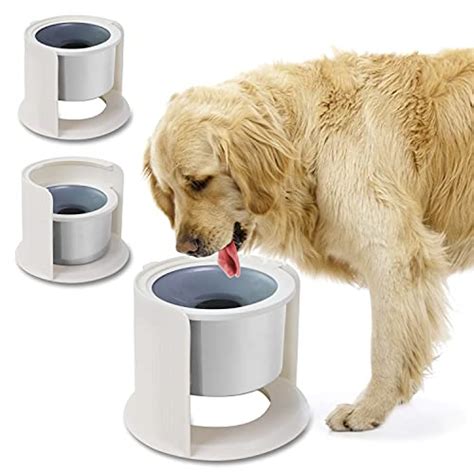 The 8 Best No-Spill Dog Water Bowls for Mess-Free Drinking