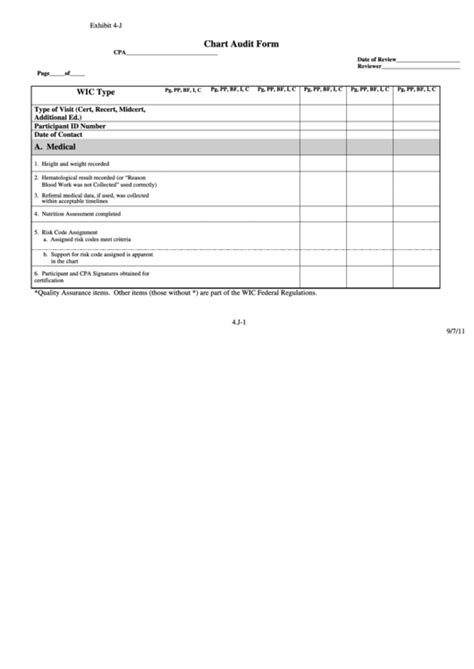 Printable Audit Form