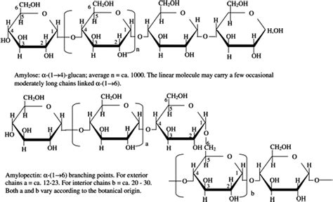 Structure of amylopectin and amylose in starch. Reused with permission ...