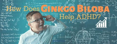 Does Gingko Biloba Boost The Adhd Brain Finally Calmed And Focused