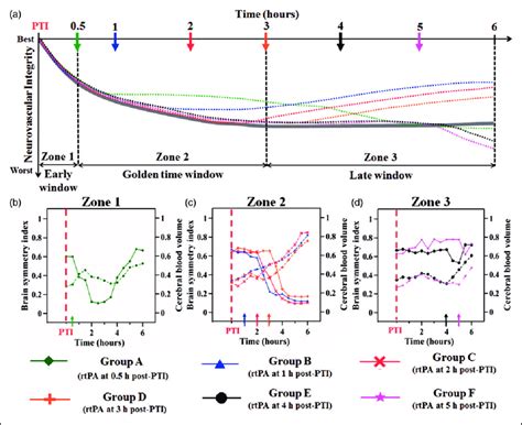 Dynamics Of Neurovascular Integrity Before And After PTI With RtPA