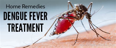 9 Home Remedies for Dengue Fever Treatment