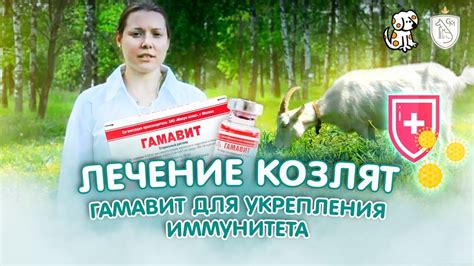 Лечение козлят / Гамавит для укрепления иммунитета - YouTube