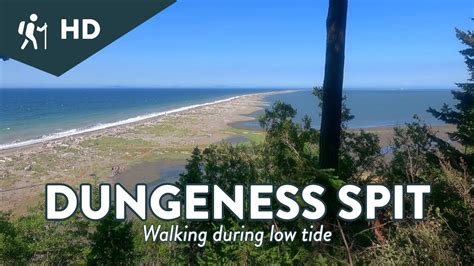 Dungeness Spit Walk Wildlife Refuge Youtube