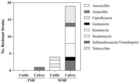 Microorganisms Special Issue Molecular Characteristics