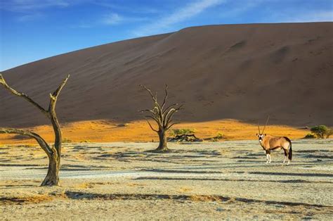 Aventure En Namibie Extension Fish River Canyon Namibie Avec Terre