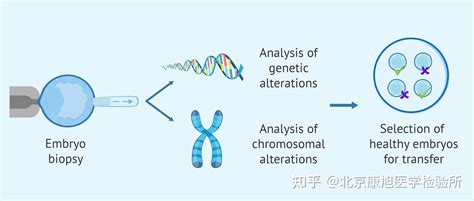 【基因治疗】不孕不育与辅助生殖技术（art） 知乎