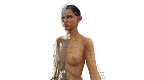 D Acupuncture Naked Man D Model Cgtrader