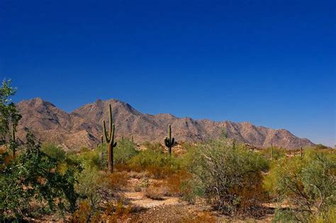 Things To Do In Gilbert, Arizona - BestAttractions