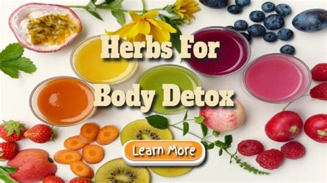 Herbs For Body Detox Oceans Bounty