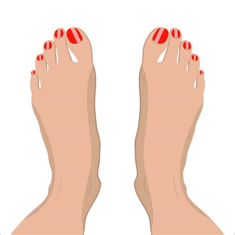 female feet with red pedicure. vector illustration in flat style om ...