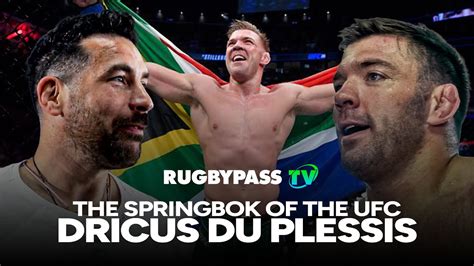 The Springbok Of The Ufc Dricus Du Plessis On His Love Of The Boks