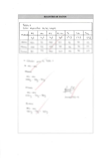 SOLUTION Informe fisica 12 Calor específico de los cuerpos Studypool