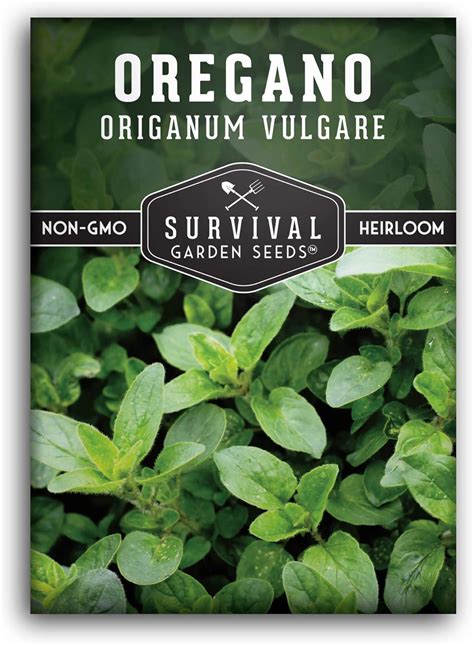 Survival Garden Seeds Semilla de orégano para plantar Empacar con