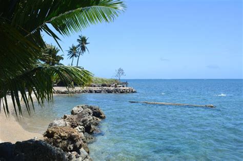 Palolo Deep Marine Reserve Apia Destimap Destinations On Map