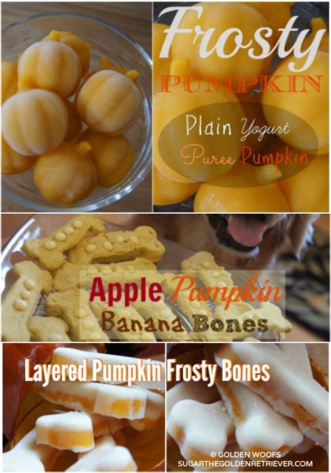 Make Your Own Dog-Safe Pumpkin Puree - Golden Woofs