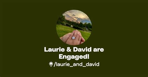 laurie david net worth